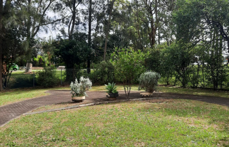 Lavender Garden