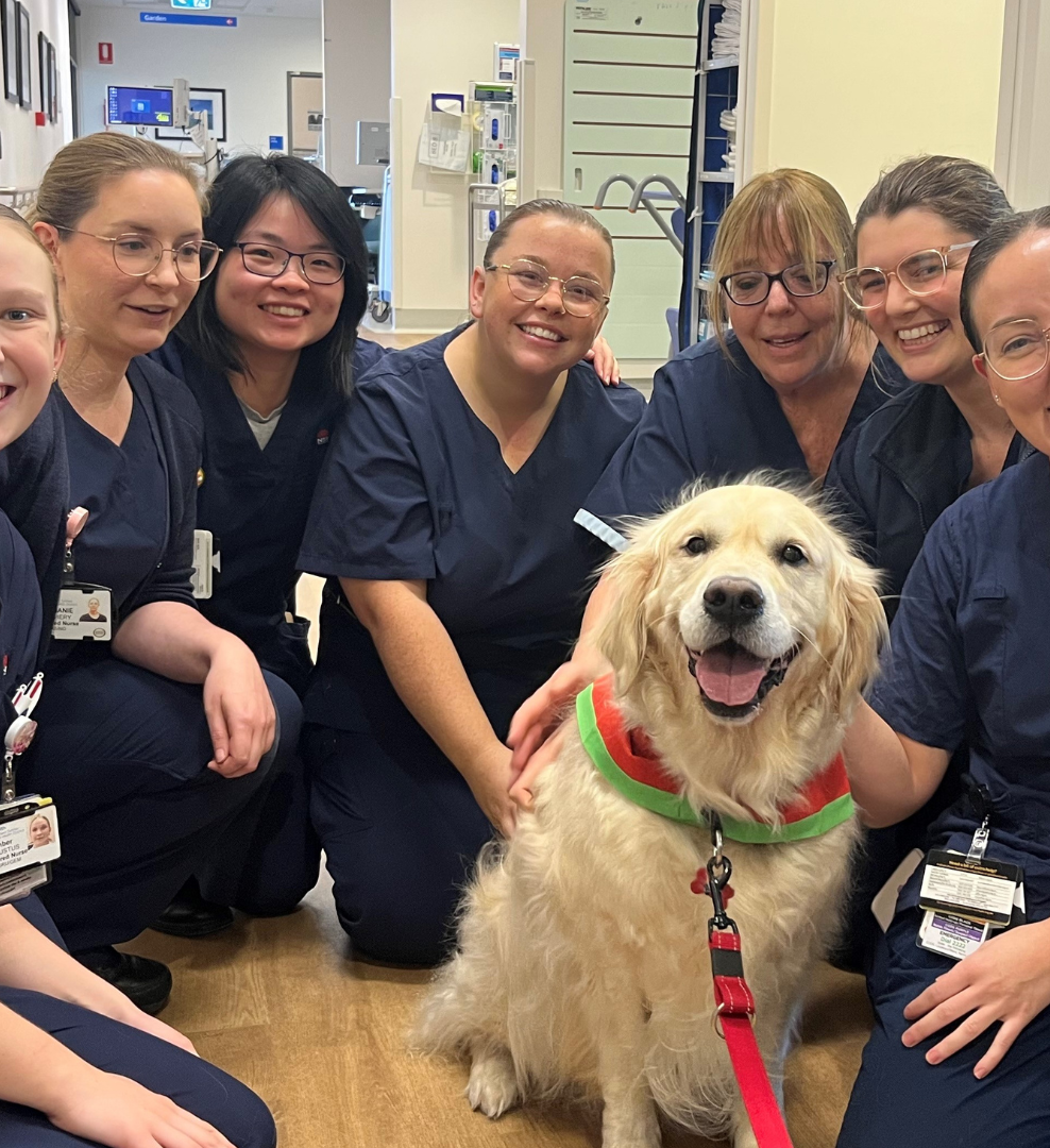 Therapy dog Fred with nursing team at MVH