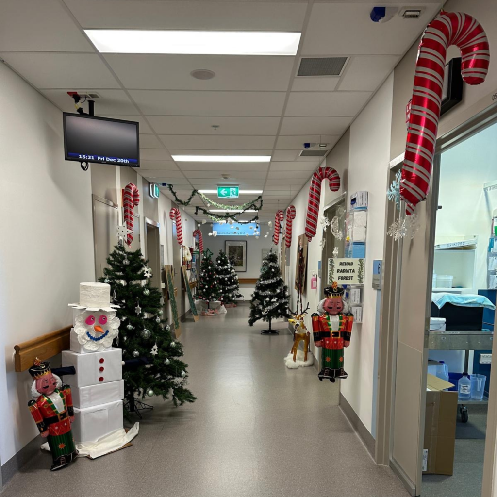 Royal North Shore Hospital Christmas decorations