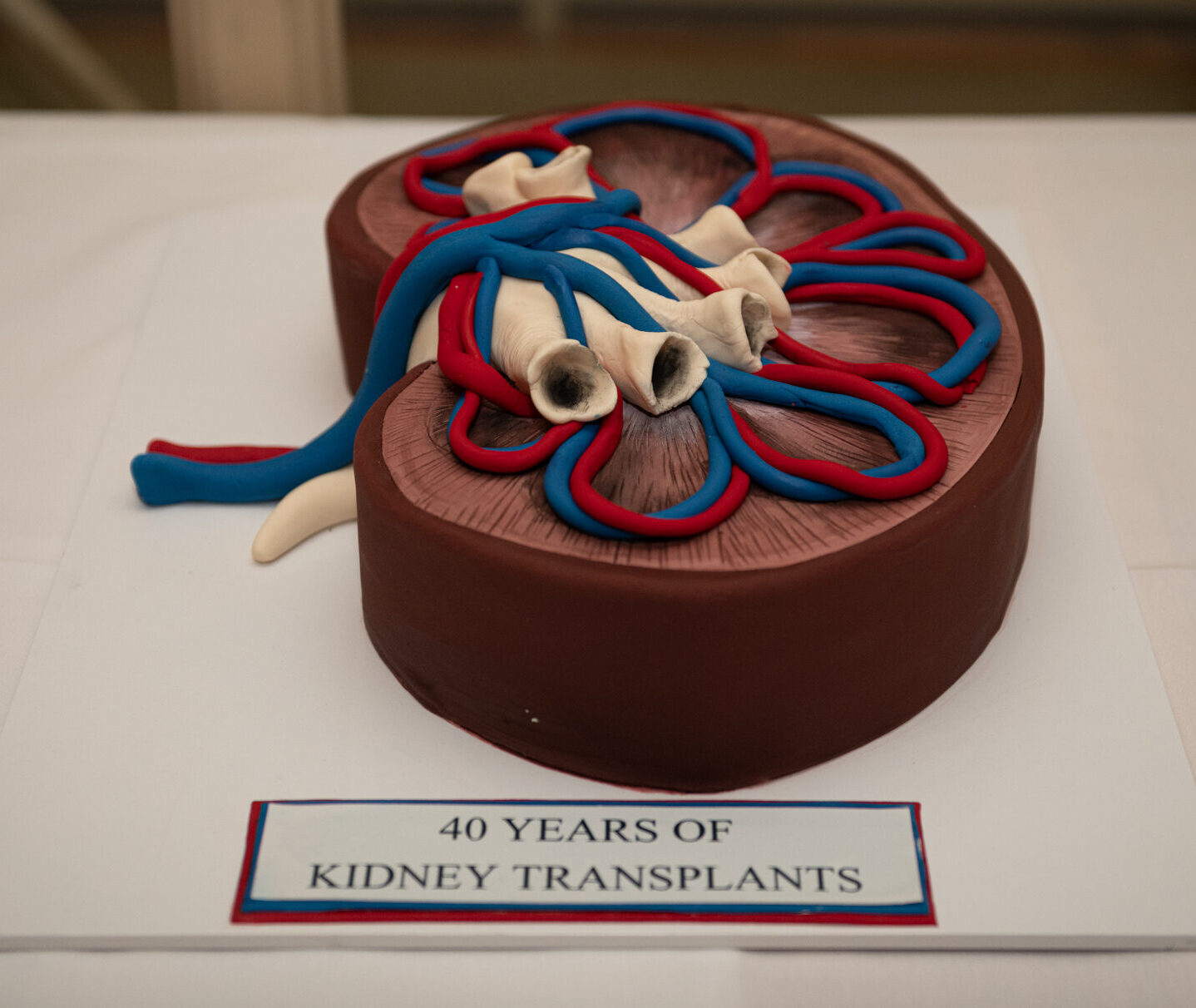 Kidney cake image