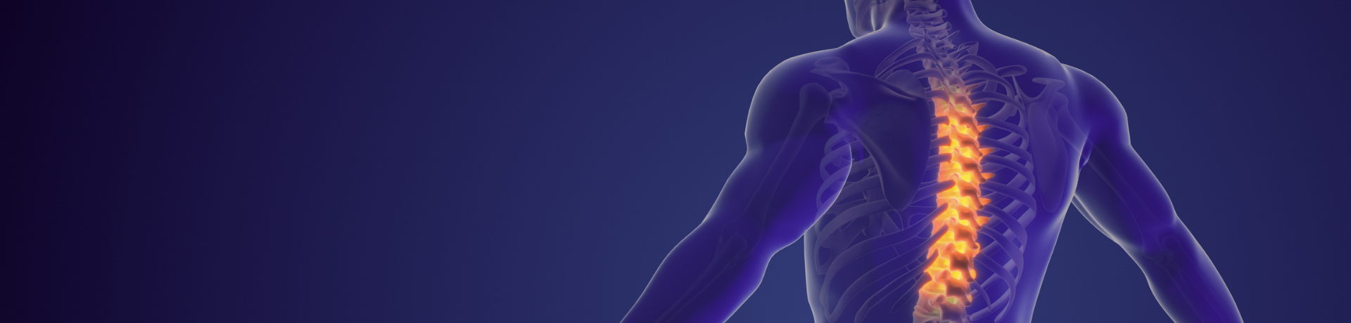 Musculoskeletal Research Showcase