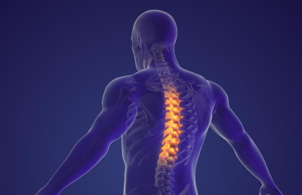 Musculoskeletal Research Showcase