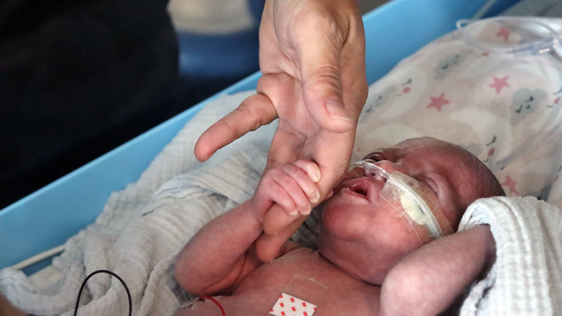 Premature newborn holding adult finger in NICU