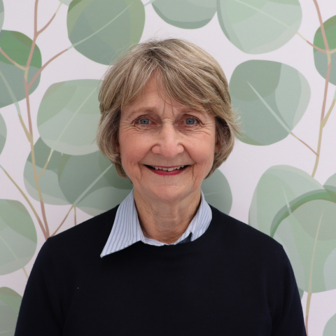 Ann Kirkness
