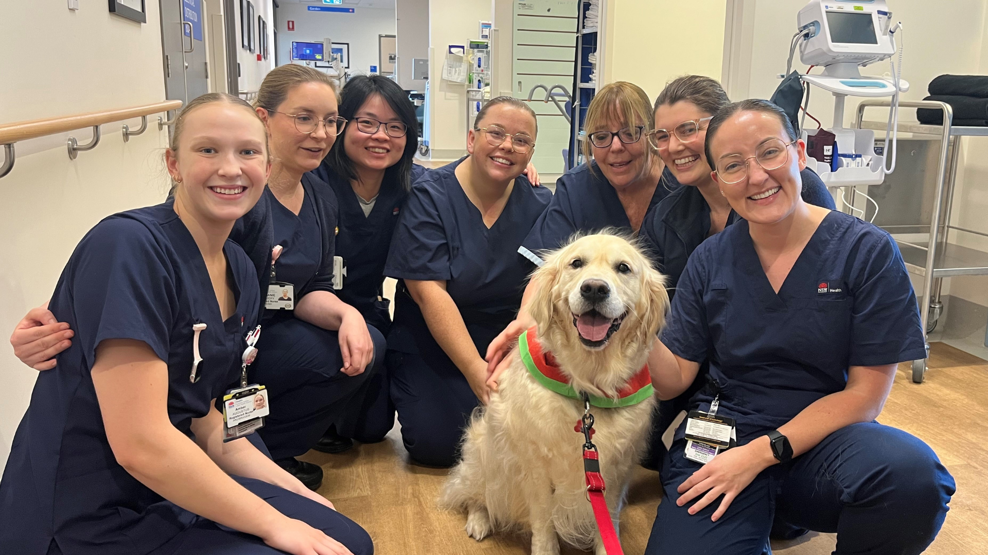 Therapy dog Fred with nursing team at MVH
