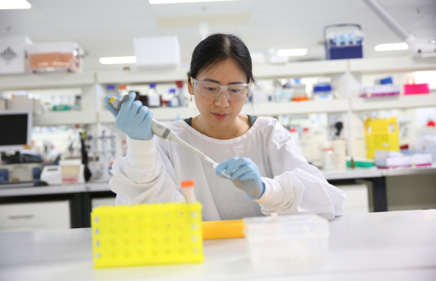 Researcher