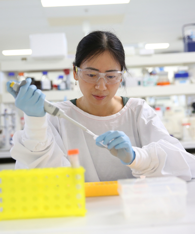 Researcher